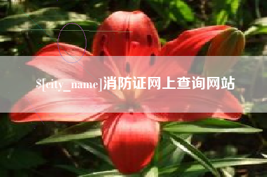 洛阳消防证网上查询网站
