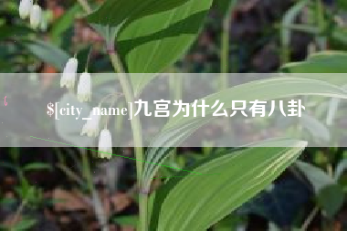 洛阳九宫为什么只有八卦