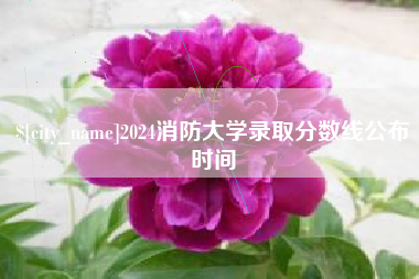 洛阳2024消防大学录取分数线公布时间