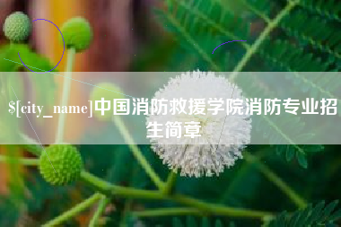 洛阳中国消防救援学院消防专业招生简章