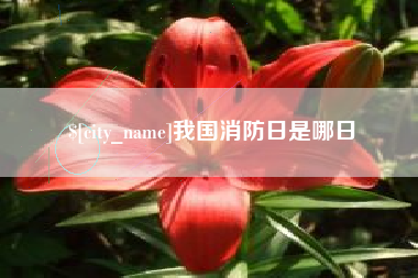 洛阳我国消防日是哪日