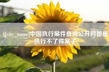 洛阳中国执行案件查询公开网都是执行不了得案子