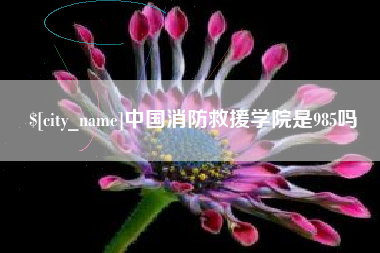 洛阳中国消防救援学院是985吗