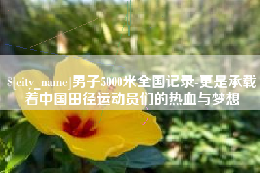 洛阳男子5000米全国记录-更是承载着中国田径运动员们的热血与梦想
