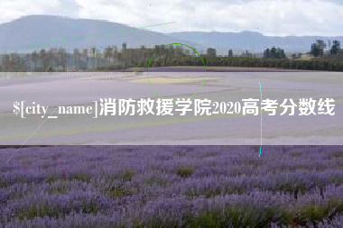 洛阳消防救援学院2020高考分数线