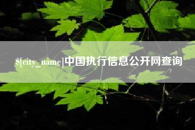 洛阳中国执行信息公开网查询