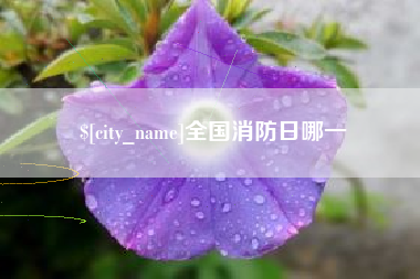 洛阳全国消防日哪一