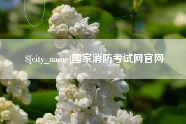 洛阳国家消防考试网官网