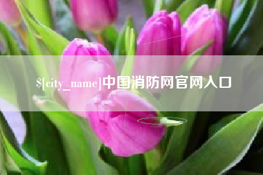 洛阳中国消防网官网入口