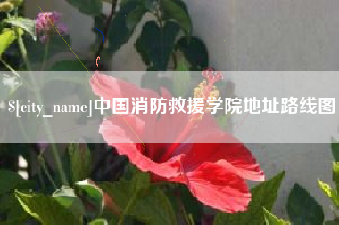 洛阳中国消防救援学院地址路线图