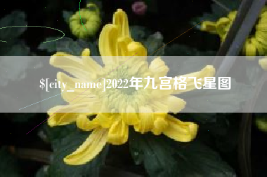 洛阳2022年九宫格飞星图