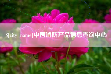 洛阳中国消防产品信息查询中心