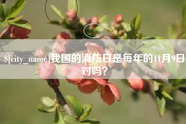 洛阳我国的消防日是每年的11月9日对吗？