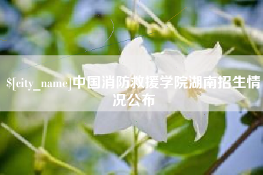 洛阳中国消防救援学院湖南招生情况公布