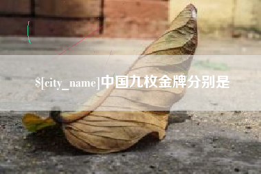 洛阳中国九枚金牌分别是