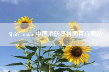 洛阳中国消防器材网官方网站