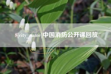 洛阳中国消防公开课回放