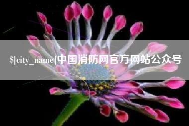洛阳中国消防网官方网站公众号