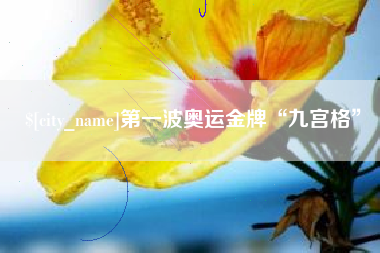 洛阳第一波奥运金牌“九宫格”