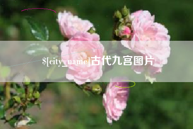 洛阳古代九宫图片