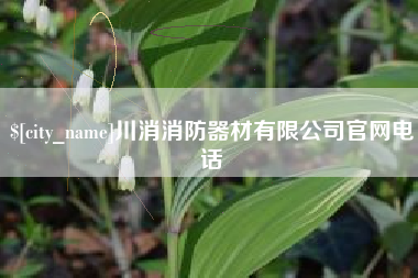 洛阳川消消防器材有限公司官网电话