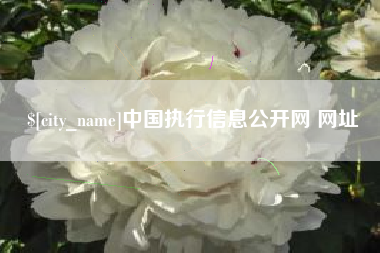 洛阳中国执行信息公开网 网址