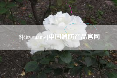 洛阳中国消防产品官网