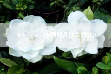 洛阳中国的几块金牌2021
