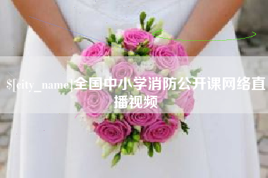 洛阳全国中小学消防公开课网络直播视频
