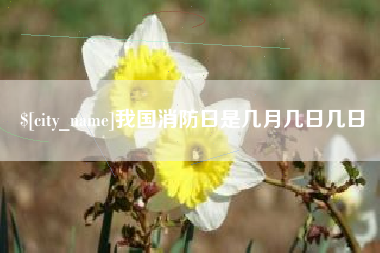 洛阳我国消防日是几月几日几日