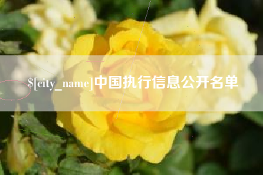 洛阳中国执行信息公开名单