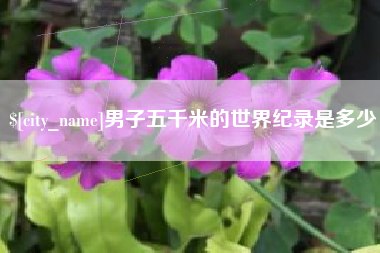 洛阳男子五千米的世界纪录是多少