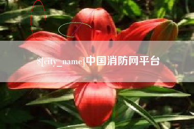 洛阳中国消防网平台