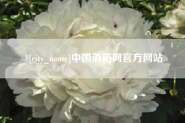 洛阳中国消防网官方网站