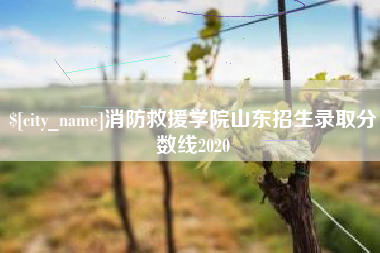 洛阳消防救援学院山东招生录取分数线2020