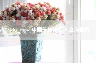 洛阳中国失信执行人查询官网
