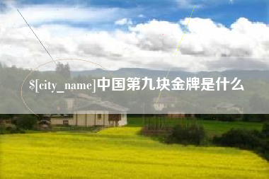 洛阳中国第九块金牌是什么