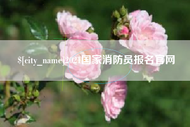 洛阳2021国家消防员报名官网