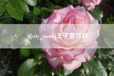 洛阳王子豪百科