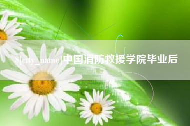 洛阳中国消防救援学院毕业后