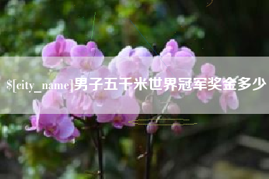 洛阳男子五千米世界冠军奖金多少