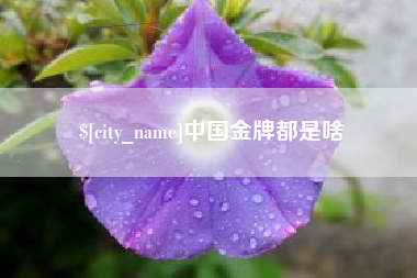洛阳中国金牌都是啥