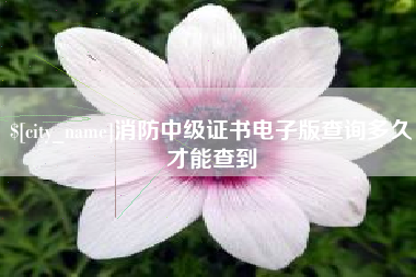 洛阳消防中级证书电子版查询多久才能查到