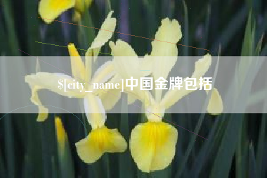 洛阳中国金牌包括