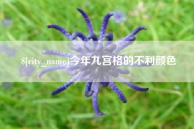 洛阳今年九宫格的不利颜色