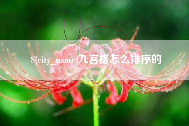 洛阳九宫格怎么排序的