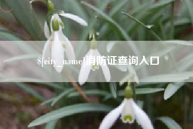 洛阳消防证查询入口