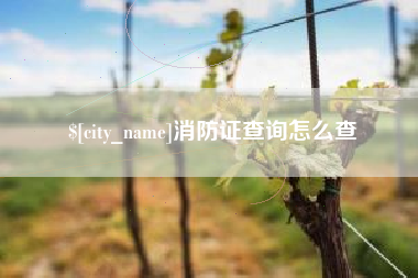 洛阳消防证查询怎么查