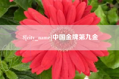 洛阳中国金牌第九金