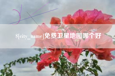洛阳免费卫星地图哪个好